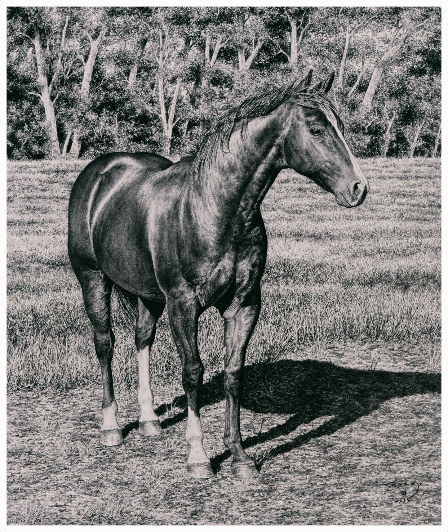 Years of Breeding