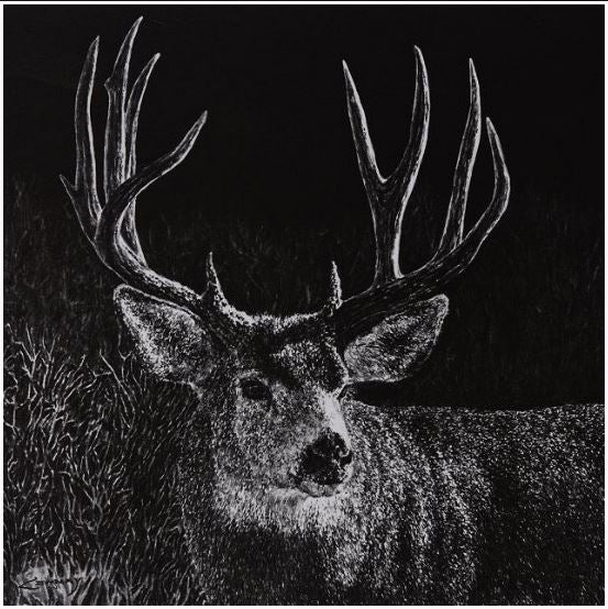 Shadow Buck